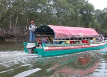 Imagen Paseo por el estuario